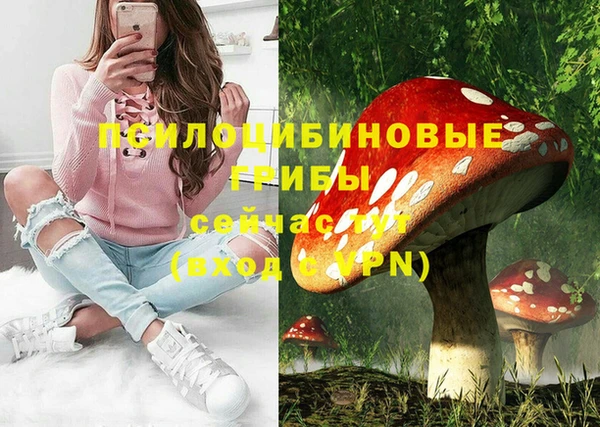 экстази Дмитров