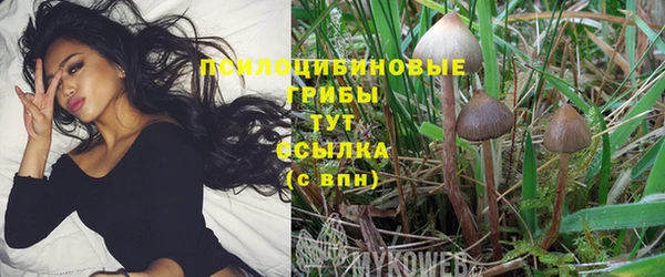 экстази Дмитров