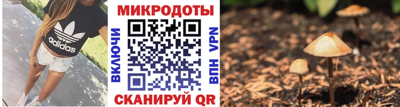 Купить закладки  Белозерск  Галлюциногенные грибы Psilocybine cubensis 